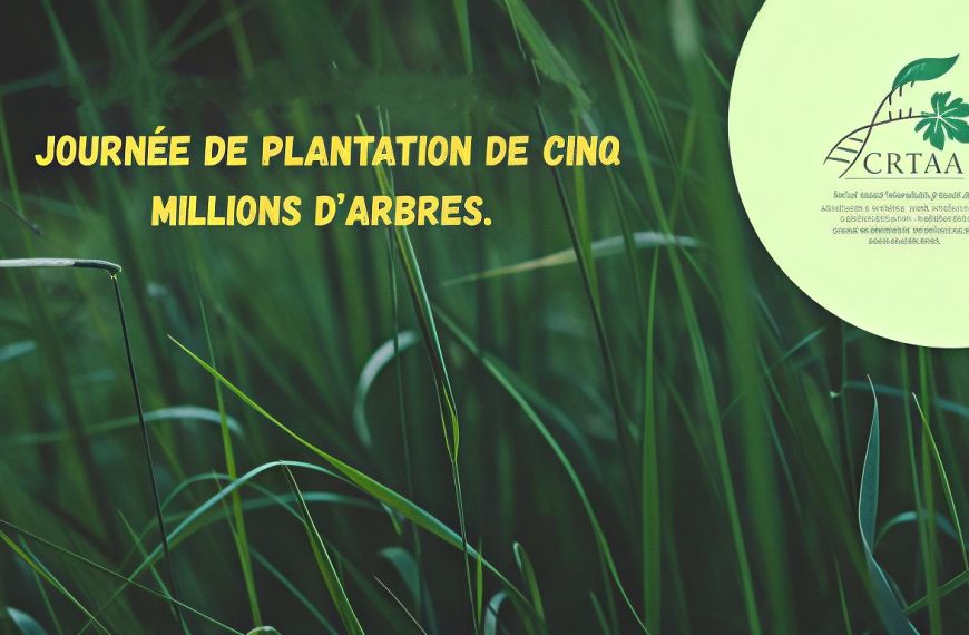 Le Crtaa Engagé Dans Le Programme De 5 Millions. D’arbres: Un Impact Societal Fort Au Cœur De Bejaia