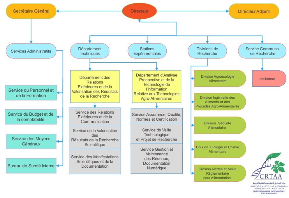 organigramme